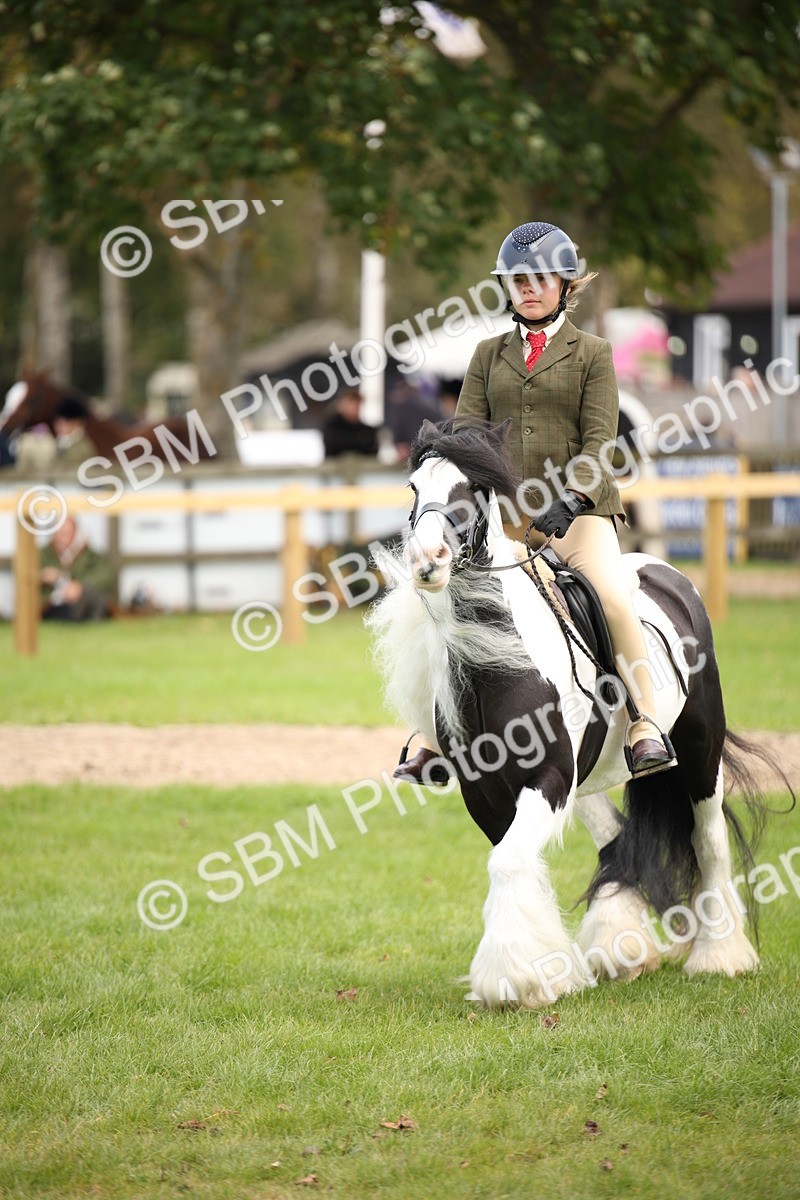 SBM_42360 - S13 - Pony Club Pony