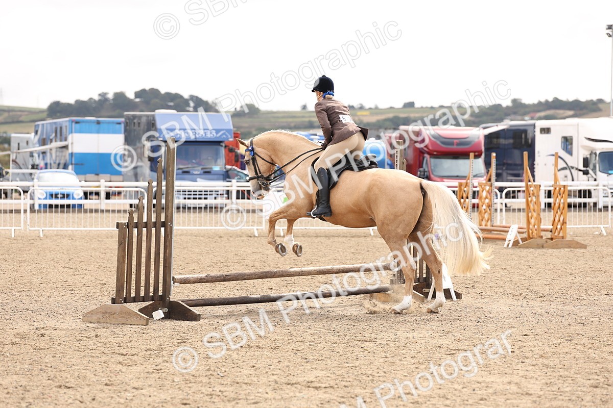 SBM_04233 - Class 54 - Riding Club Horse/Pony