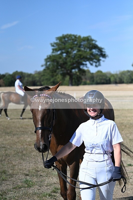 WJ7_1504 - Class 42 Most Handsome Gelding