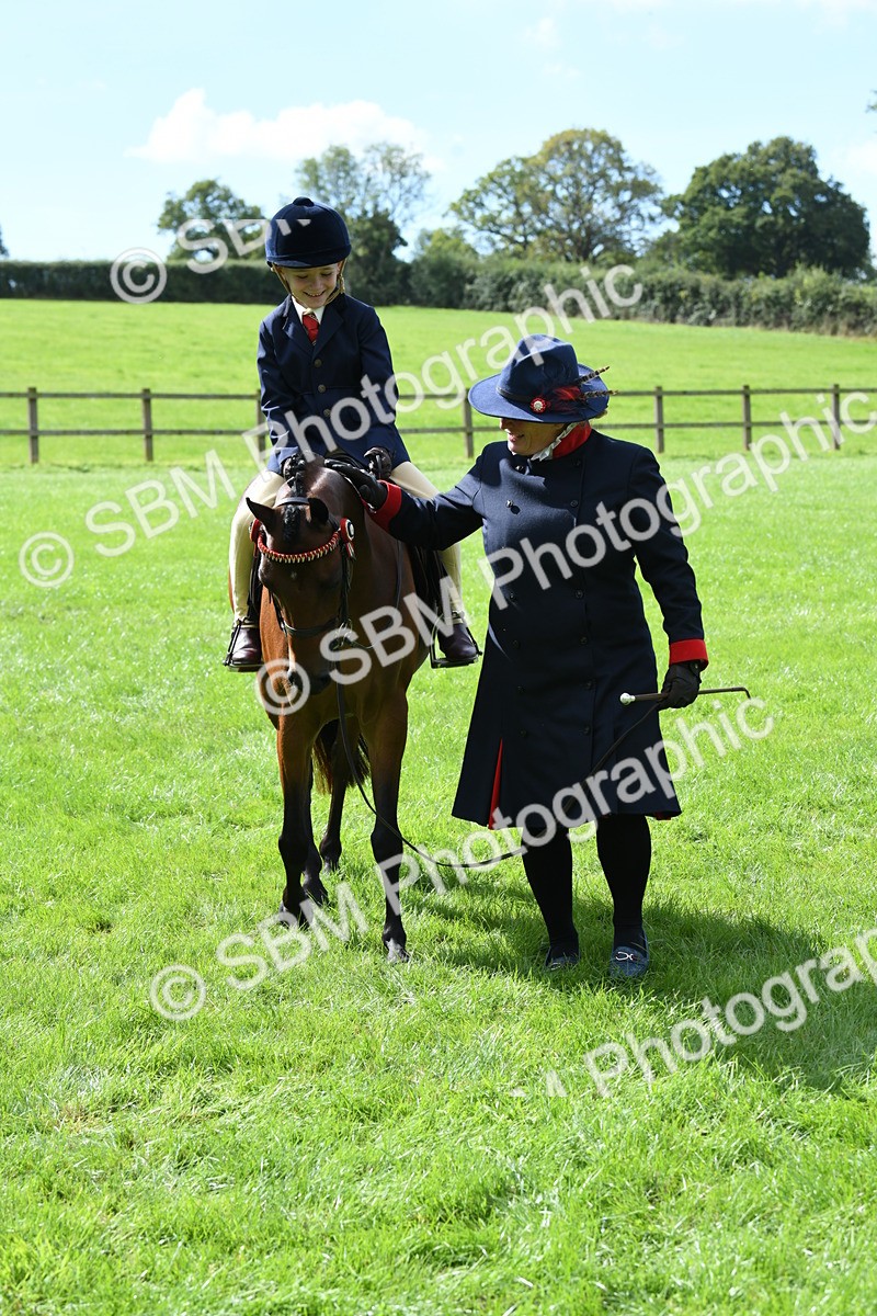 SBM_41238 - S19 - Lead Rein Show & Show Hunter Pony