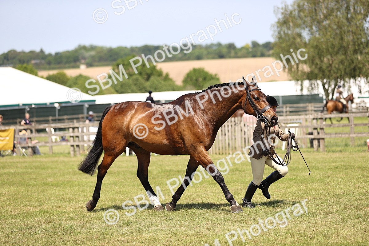 SBM_17780 - Class 81-83 - TSR Ridden Amateur of the Year - Horses