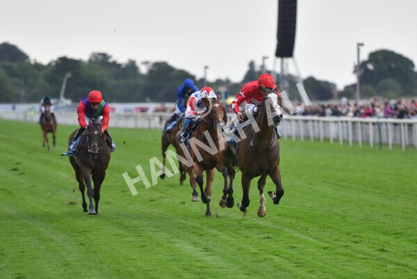 yr22072022r6-17 - Race 6 7.50pm Gallop Racing Stakes