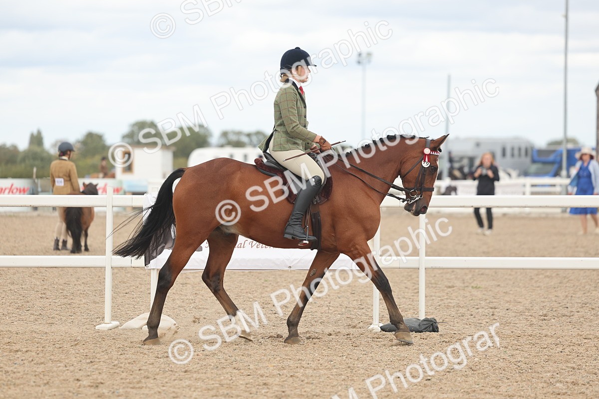 SBM_18105 - Class 315 - Best Horse-Rider Combination