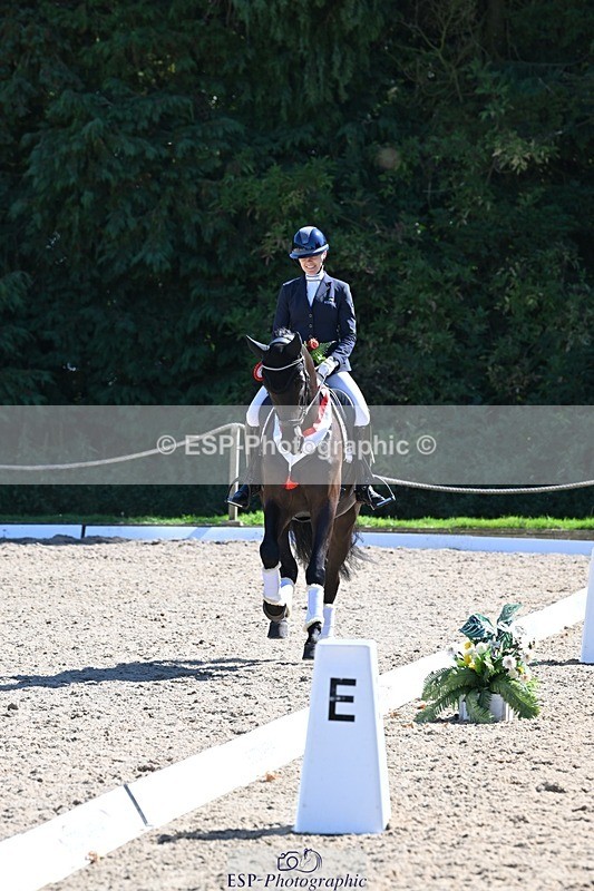 240811-153520-06679 - Adv Medium Gold