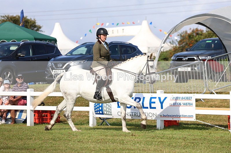 3E7A8568 - Class 3: Rising Star S/L Hunter