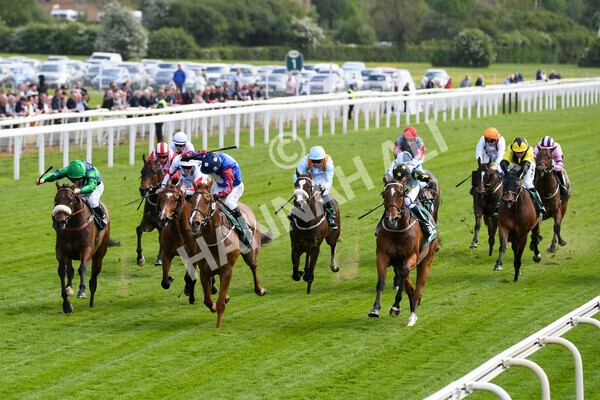 yr12052022r3-12 - Race 3 3.00pm The Paddy Power Hambleton Stakes