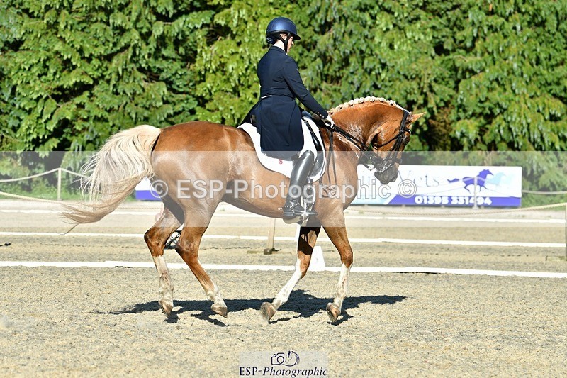 230623-181635-03206 - Cls 11 FEI PSG