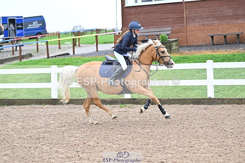 240908A-111510-03294 - Cls 18 A&B Pony Brit Nov & 80 Opern