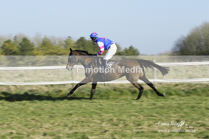 PtP 270222 153 - South & West Wilts Point-to-Point Larkhill 27/02/22