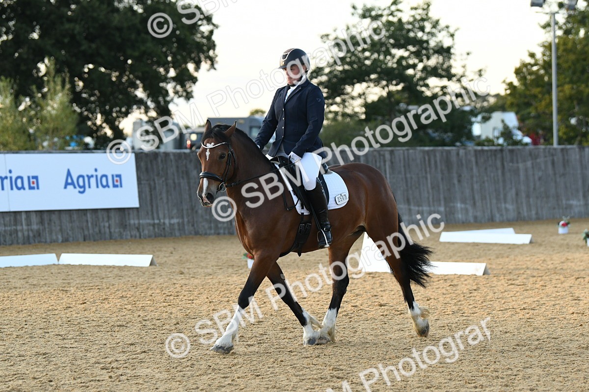 SBM_30922 - D16 - Small Tour Championship - Novice 28