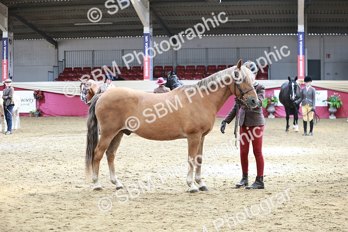 SBM_04770 - Class 7R - Regional IH Diamond