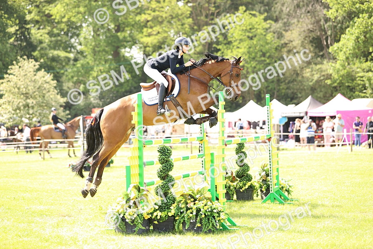 SBM_03115 - Class 201 - British Horse Feedds Speedi Beet HOYS Grade C