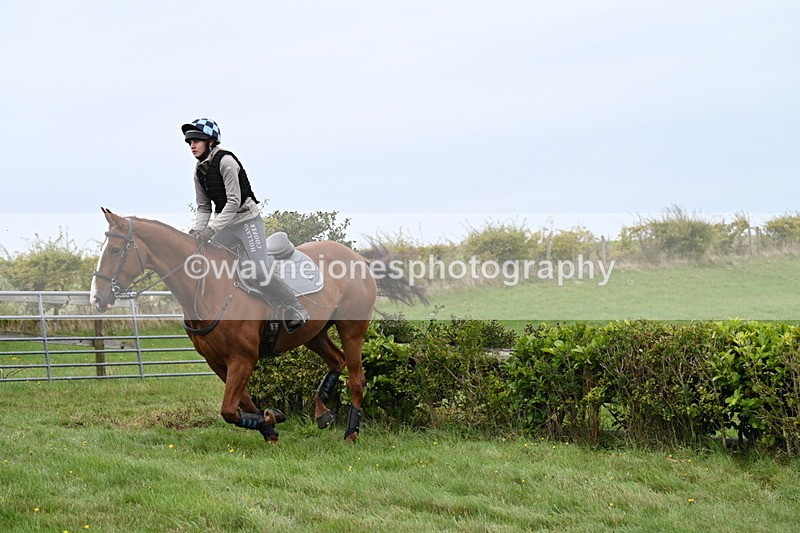 WJ7_8319 - Time 12:00 to 12:21