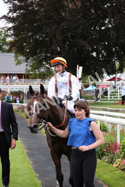 yr23072021r5-28 - Race 5 8.00pm Gallop Racing Stakes