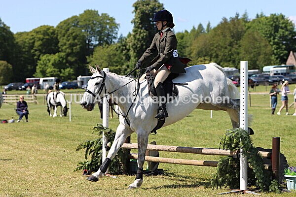 IMG_3529 - Working Hunter