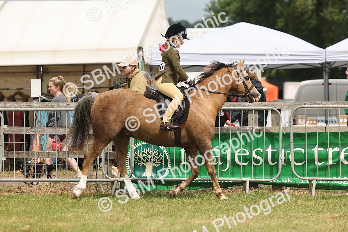 SBM_06856 - Class 74-75 - M&M Lead Rein and First Ridden Pony
