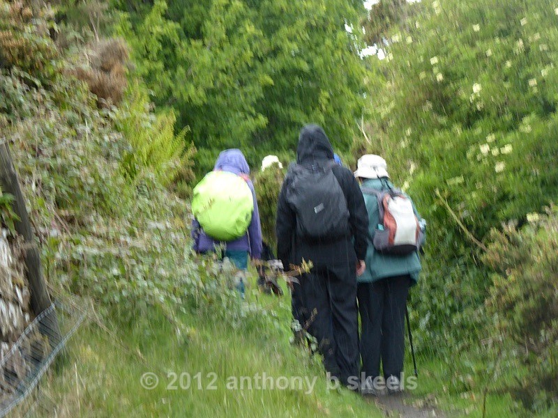 036 Aproaching the Quarries - York Minster Walkers Collection 2025
