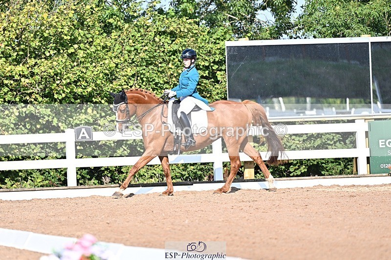 250816-092642-02273 - 007-kelly.jewellAvalon