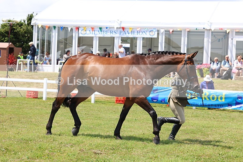 3E7A1705 - Class 9: Open Hunter