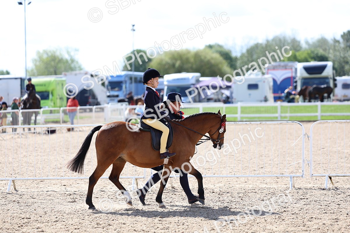 SBM_13037 - Class 309 - Lead Rein Pony