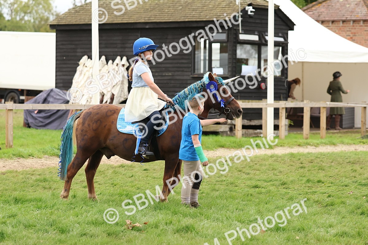 SBM_62161 - S37b - Best Unicorn