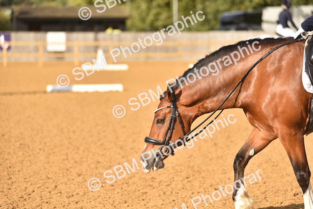 SBM_29671 - D16 -Small Tour Championship Novice 2