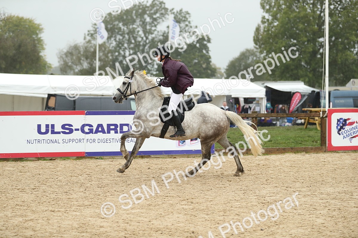 SBM_74163 - J16 - Junior Pony 75cm Championship