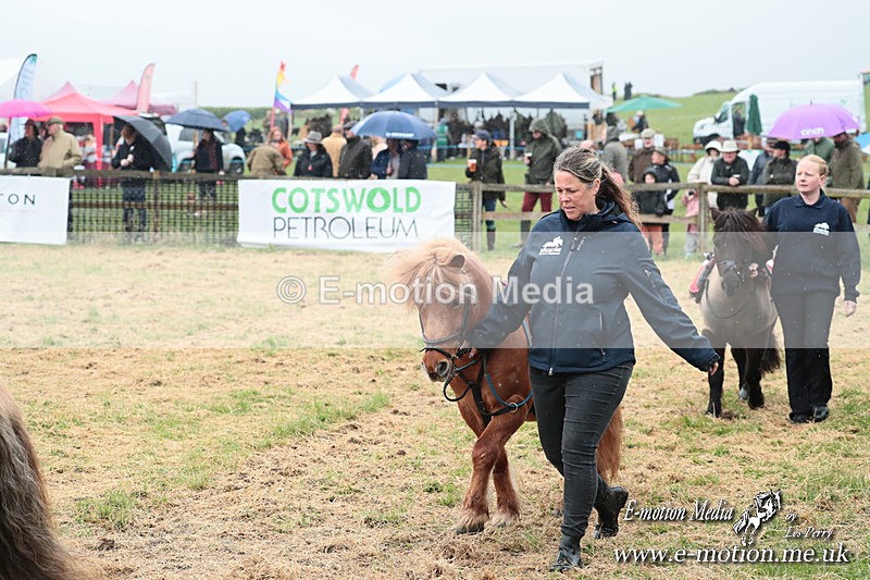 SHETPR 210425 14 - Shetland Ponies Paxford Races 21/04/25