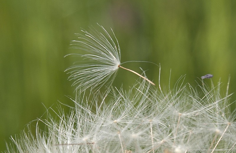  - Nature's Wonders