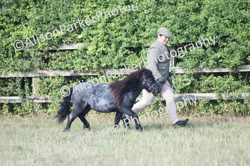 20250831-1388 - Class 21 - Inhand Open