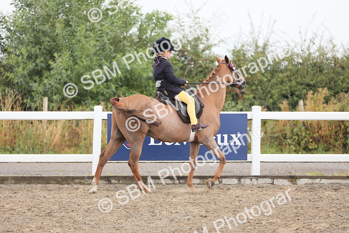 SBM_21698 - Class 806 - Young ridder 10 Yr & Under