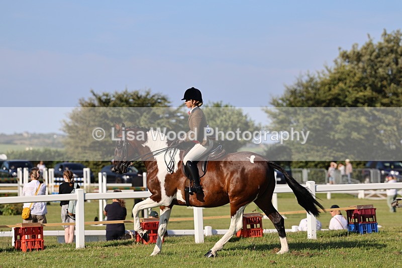 IMG_1231 - Class 27: Ridden Plaited Coloured Horse