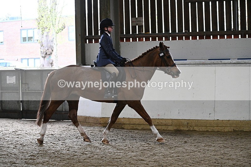 WJ7_3784 - Class 17 Ridden Cob