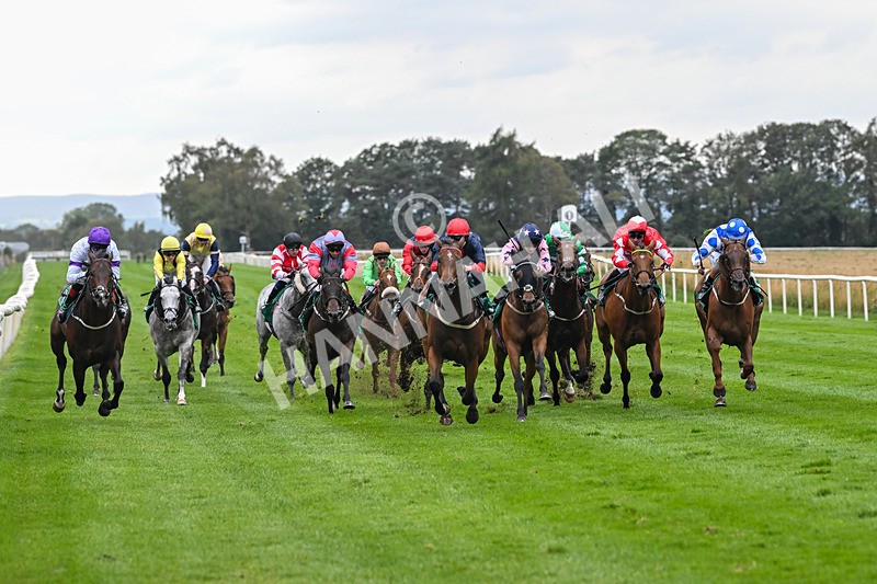 060925-Race 5-Eternal Sunshine-5851 - Race 5