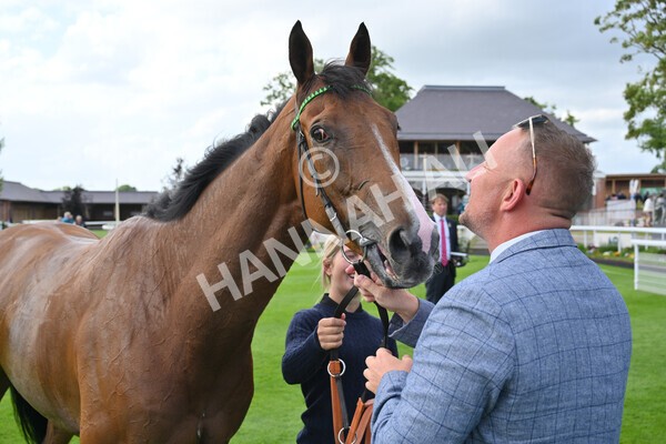 yr10062022r7-33 - Race 7 5.10pm Andy Thornton Hospitality Furniture Stakes