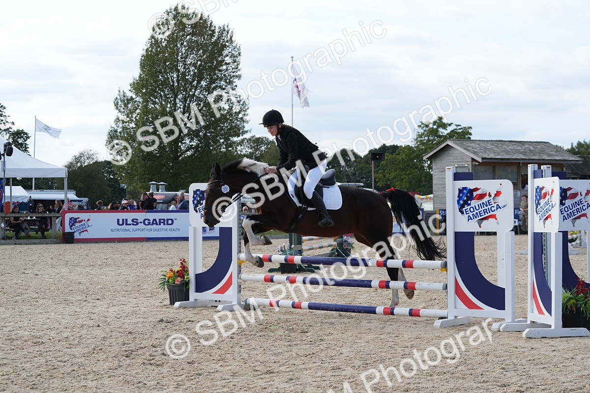 SBM_48804 - J22 - Junior Horse 65cm Championship