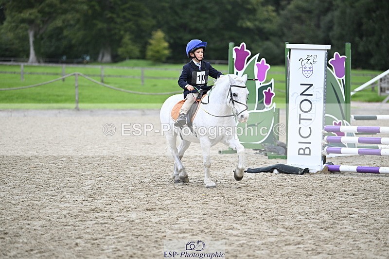 251005A-120711-03609 - Cls 08 Mini 70-75cm