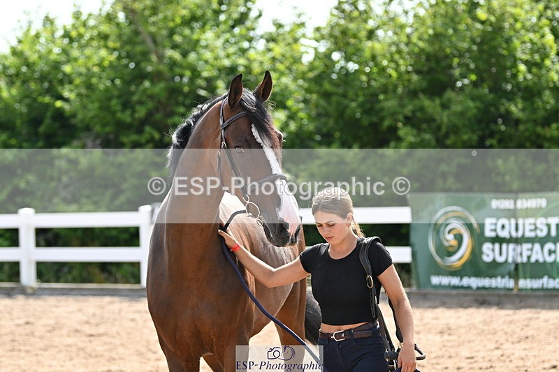 240717A-155637-03210 - Trot Up 3pm to 4pm