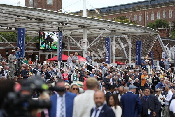 yr19082022r4-4 - Race 4 3.35pm Coolmore Wootton Bassett Nunthorpe Stakes (British Champion Series Race)