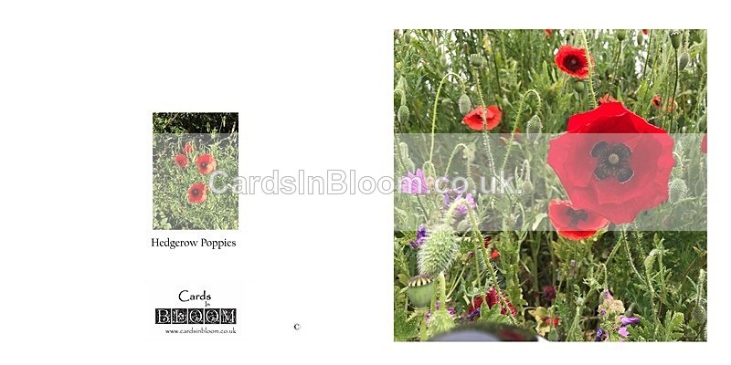 07 A New Dawn - A NEW DAWN