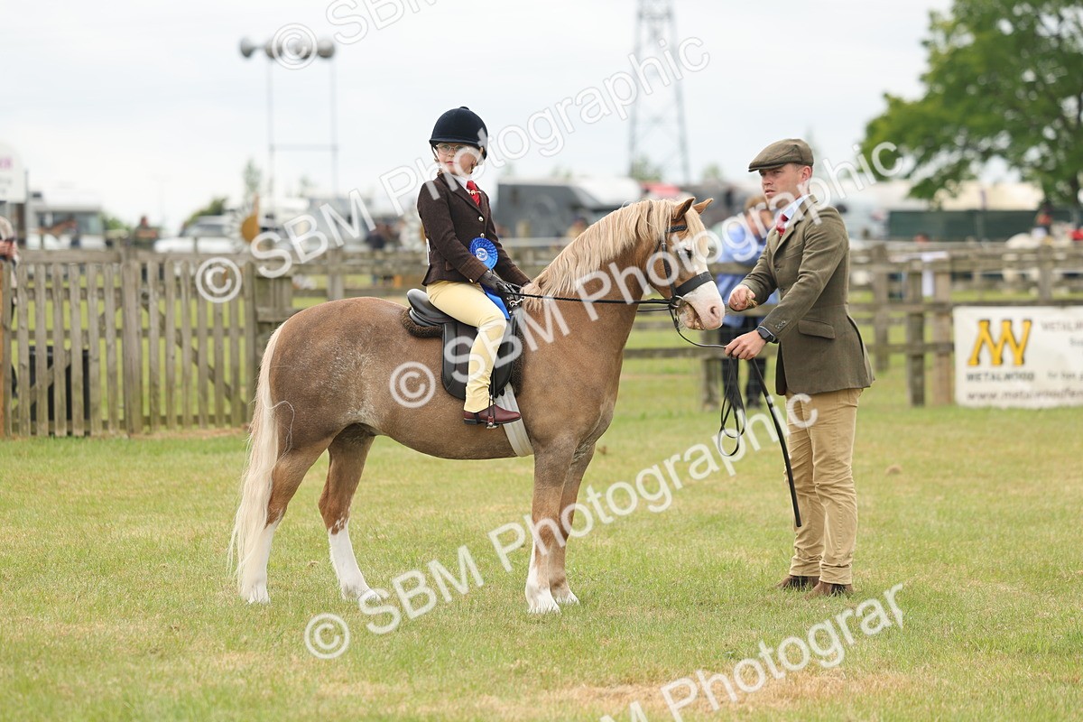SBM_06946 - Class 74-75 - M&M Lead Rein and First Ridden Pony