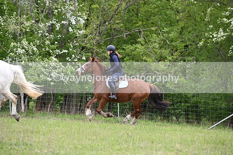 WJ6_1574 - Group 4 A&B Cameras