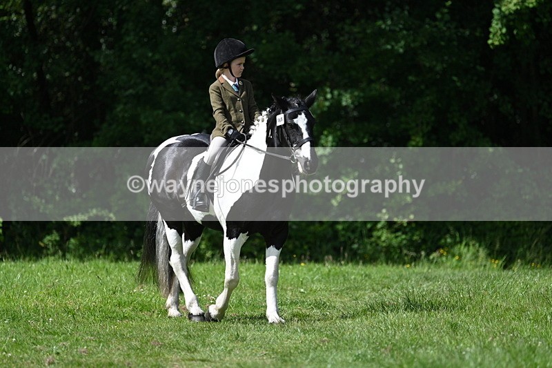 WJ7_0996 - Class 11 Condition & Turnout