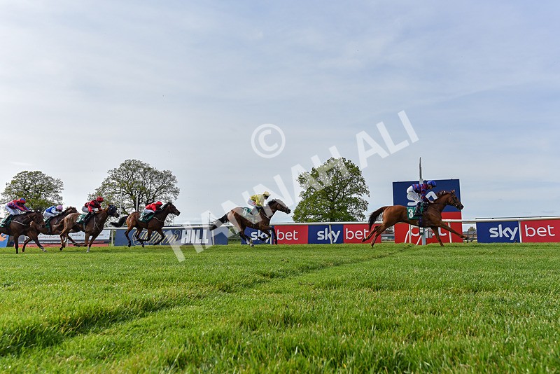 020526-Race 7-Rising Force-7341 - Race 7 5.00pm Sky Bet Irish Day Saturday 16th May Book Now Handicap