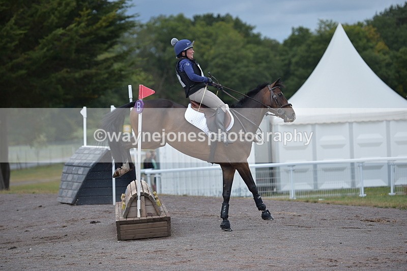 NGP_2077 - XC Time 11:20 to 11:36