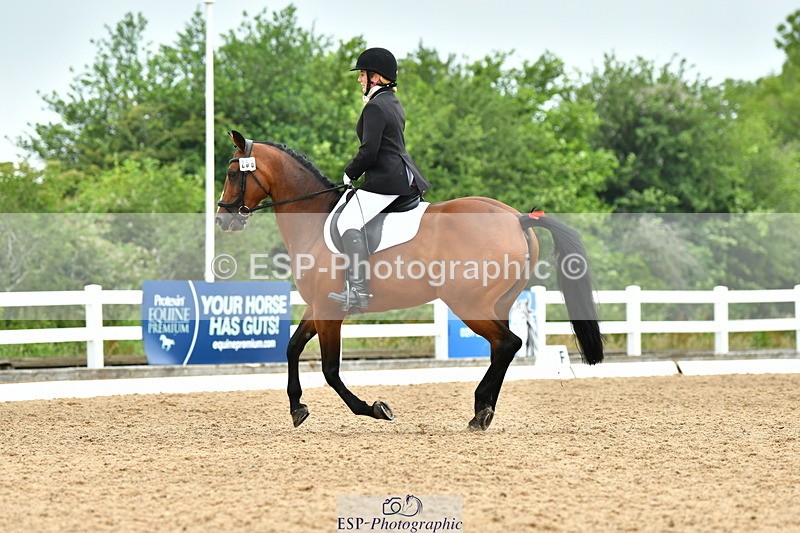 230708A-112012-02554 - Prelim 13