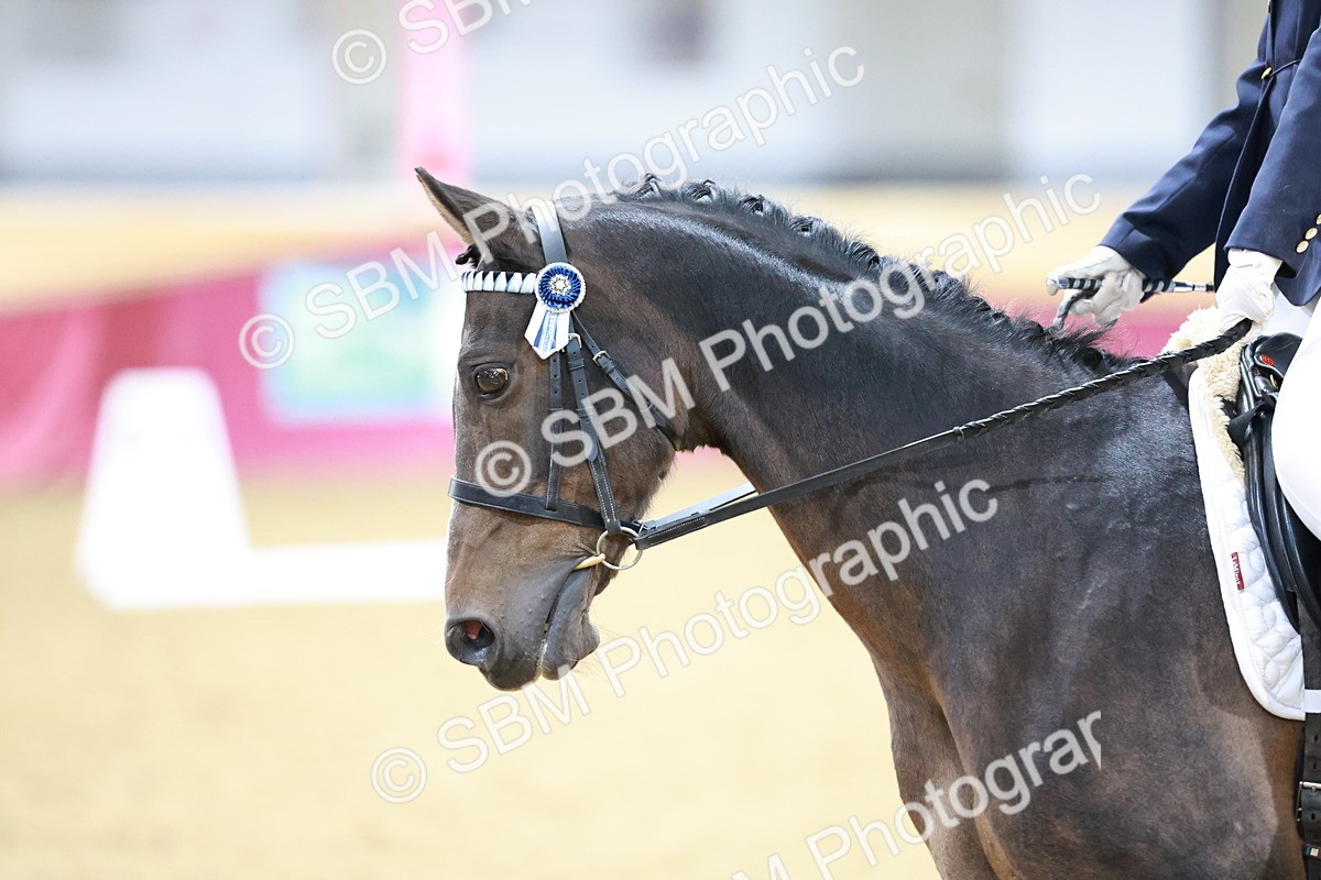 SBM_09280 - Class 61 - Dressage to Music