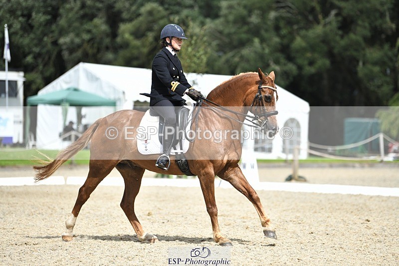 230812-141943-04669 - Cls 7 FEI PSG Bronze