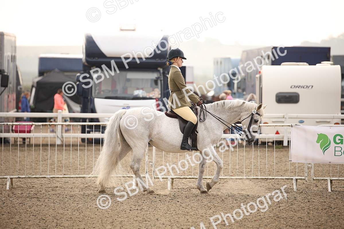 SBM_09811 - Class 401 Riding Club Pony