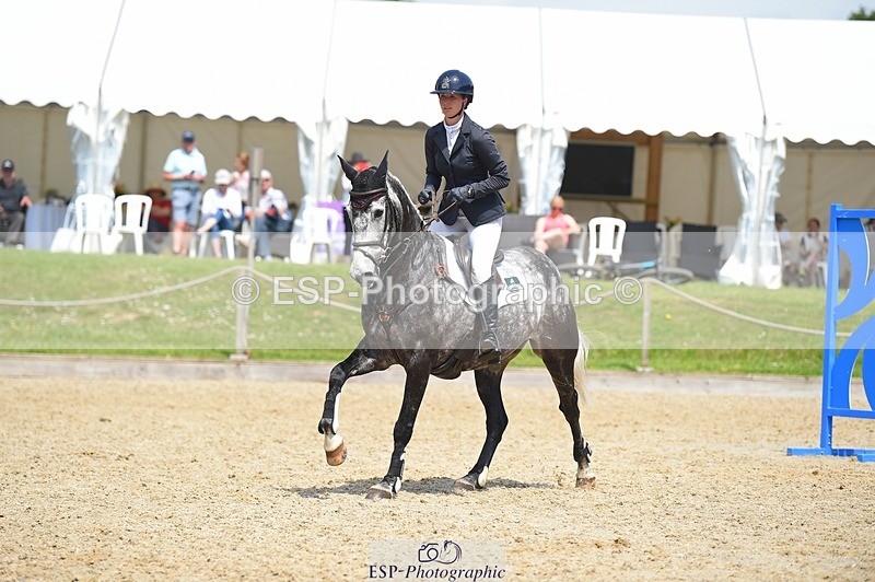 230528-121824-15630 - 311-BALLYCOSKERRY_REGAL_DIAMOND-Hollie_Swain-SUNTrotUp+SJ